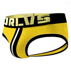 Underpants Orlvs Roupa íntima de lingerie sexy de algodão exótico Erotica Briefs masculinos gays atreídos de manchas coloridas coloridas