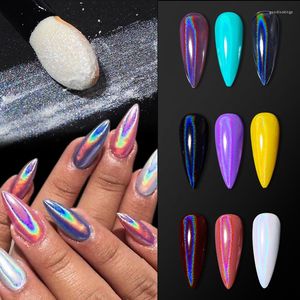 Glitter per unghie Polvere olografica Laser Polvere grigio argento Cromo Specchio Rosa Holo Pigmento per accessori per nail art