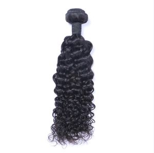 Brazilian Virgin Human Jerry Curly Unprocessed Remy Hair Weaves Double Wefts 100g/Bundle 1bundle/lot Can be Dyed Bleached