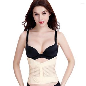 Intimo modellante da donna Dopo il parto Fascia per la panciaSupporto traspirante Dopo la gravidanza Cintura per maternità Fasciatura per donne incinte Shapewear