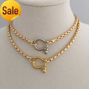 Trendy Thick Jewelry Accessories Carabiner Shackle Chain 18K Gold Plated Necklace Snake Choker Chain