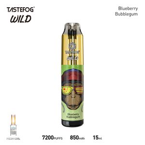 China Factory original recarregável 7000 Puffs Mesh Pod TasteFog Wild Electro Electronic Cigarette Vape Vape Vapes