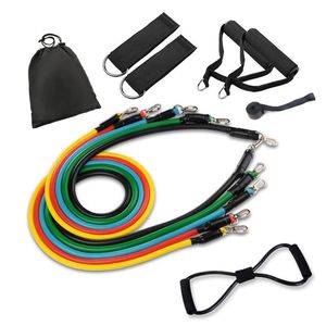 Resistance Bands Tube Set With Attached Handles Door Anchor Carrying Case And Exercise Guide Training