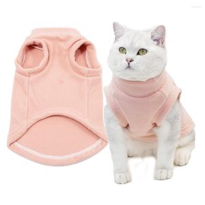 Trajes de gato Casual Casual Pet Clothing Cor Solid Warm Dog Recend Supplies Cute Acessórios