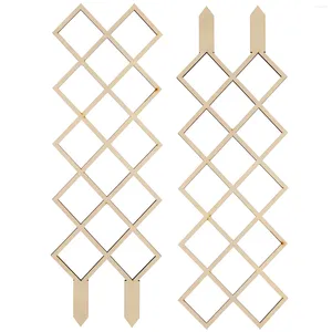 Flores decorativas 2 PCs Gredenery Garden Supplies Plants Trellis Planting Rack Rack em vasos de escalada