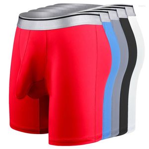 Underpants plus size xl-7xl masculino boxer shorts de elefante bolsa bolsa de seda gelo calcinha boxershorts slip hombre ropa tronco interior