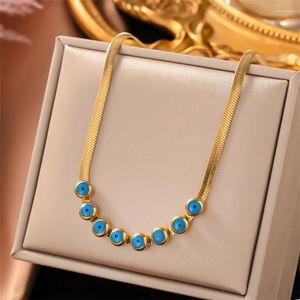 Brincos de colar Conjunto 316L Aço inoxidável Blue Color Eyes Snake Colares Bone Bracelets Fashion High Jewelry Party Gift San970