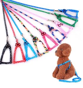 Dog Harness Leases Nylon Tryckt justerbar husdjurskrage valp kattdjur tillbehör husdjur halsband rep slips krage m10