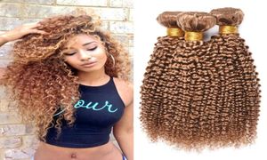 Long Kinky Curly Human Hair Weave 3st Bunds 1026 Inch Honey Blonde 27 Pure Color Brazilian Virgin Hair Bundles Extension 100g6689414