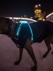 Hundhalsar CC Simon Unique LED -utnyttjande USB -uppladdningsbar valp bly husdjur väst för stora 2023