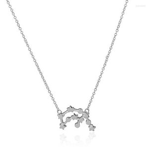 チェーン1PCチェーンネックレスAquarius Zodiac Sign Astrology Pendantsゴールドシルバーメッキ色男性女性キッズバースデーギフト