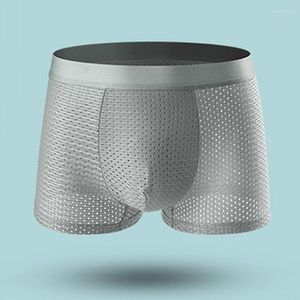 Underpants 4Pcs/Lot Men's Mesh Underwear Breathable Sexy Ice Silk Boxer Large L XL 2XL 3XL 4XL 5XL 6XL