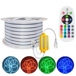 Luce al neon LED RGB, striscia luminosa al neon 120V, illuminazione al neon multicolore impermeabile IP67 con telecomando IR per la decorazione dell'edificio del giardino domestico crestech168