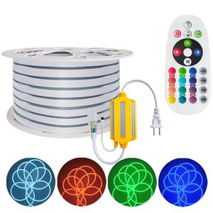 LED-Neon-Lichtleiste, AC 110–120 V, flexibles LED-Lichtband, wasserdicht, schneidbar, anschließbar, Neon-Lichtleiste für Haus/Garten/Gebäude-Dekoration, usalight