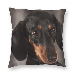 Kudde söt Dachshund Dog Throw Case Home Dekorativ fyrkantig korv Wiener Badger Cover 40x40cm Pillowcover för soffa