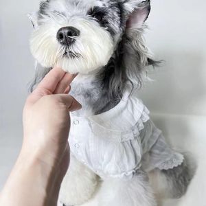 Ny sommar hundtillbehör designer hundkläder husdjur kläder levererar andningsbar hund kjol p märke tunn liten katt hund prinsessan kjol