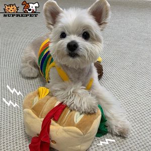 Toys SUPREPET Dog Sniffing Toys Interactive Plush Stuff Cute Food Resistant To Bites Squeaker Bread Toy Puppy Training Accessories