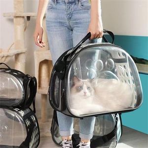 Transportador de gatos Travel Space Bolsa transparente Bolsa de gaiola de gaiola de gaiola de mochila de cães pequenos de cachorro de cachorro