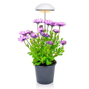 LEDミニ傘植物成長光、ハーブガーデン、24歳の20W高さ調整可能、自動タイマー、植物成長フルスペクトル、さまざまな植物、白