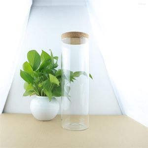 저장 병 2pcs/lot 100 300mm 2000ml 유리 병 음식 용기 컨테이너 투명한 주방 컨테이너 코르크 병