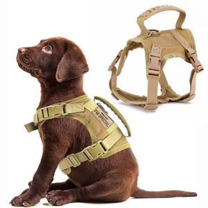 Dog Collars Leashes Samll Dog Harness Vest Collar調整可能なチェストストラップトレーニングウォーキングセーフティハーネスと綱の子犬230512