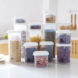 Bottiglie di stoccaggio 1 scatola di plastica per alimenti per spezie in grani di tè per contenitore per frigorifero da cucina