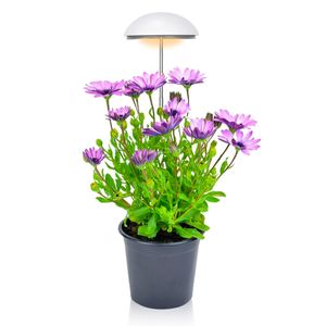 LED small Umbrella Plant Grow Light, 20W 24 LED Herb Garden, potted plants, Height Adjustable, Timer, dimmer, Plant Growing lamp, indoor Plants, White