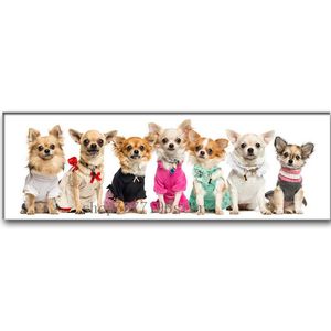 Stitch Diamond Painting Chihuahua Pet Dog Square/Round Diamond Animal 5D ricamo 5D Croce Croce Mosaico Crystal Picture Wall Art