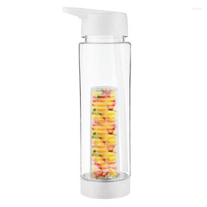 Water Bottle Fruit Sports Cup With Straw Lid And Infusion Basket 24oz