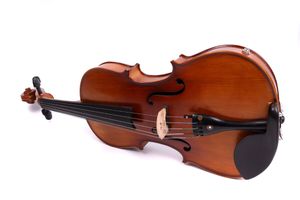 Yinfente 5string Electric Acoustic Violin 4 4 Maple+Spruce Free Case&Bow #EV1