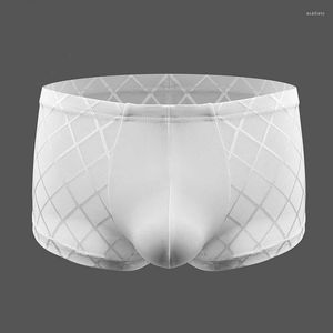 Underpants Mesh U Convex Pouch Boxers Oil Glossy Shiny Fetish Gay Underwear Transparent Sexy Boxer Men Bodystocking Lingerie Boxershorts