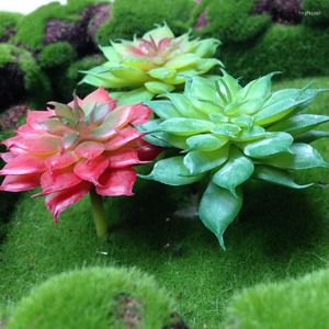 Dekorative Blumen NuoNuoWell 3xMini Fake Simulation Sukkulenten Künstliche Blumen Hochzeitsdeko Mini Gras 6cm 7cm