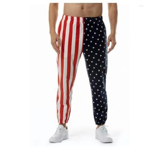 Men's Pants Mens Beach American Flag Trousers Loose Clothing Pantalones Ropa Hombre Splice Fashion High Quality Male Modern Urban