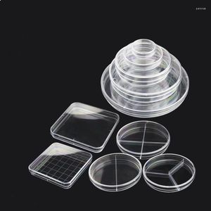 10Pcs/Lot Plastic Sterile Petri Dishes Bacteria Culture Dish For Laboratory Biological Scientific School Supplies
