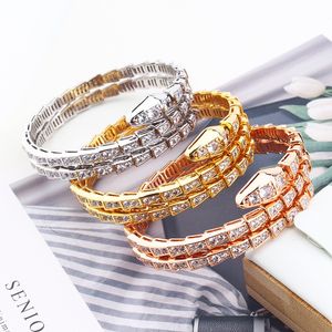 Braccialetto di serpente unisex di moda placcato braccialetti di gioielli in oro 18 carati per donne ragazze signore gioielli di lusso designer compleanno festa di nozze fidanzati set vendita sposa quotidiana