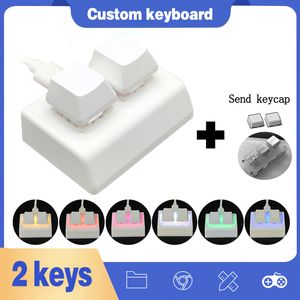 Tangentbordmuskombinationer 2 Keys Macro Programmering RGB Mini Gaming Drawing Red Switch Custom Keypad 230515