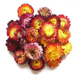 装飾的な花乾燥花カラフルなchrysanthemum天然乾燥ヘッドウェディングセンターピース保存6pcs