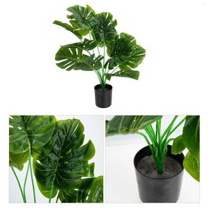 Flores decorativas Decoração de escritório verde Bird Paradise House Plantas dentro de casa Live piso pequeno decorações em Ramadã internas parede de parede ao ar livre