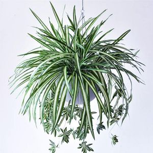 Dekorativa blommor Simulering Klorofytum Artificial Green Alges Orchid Silk Flower of Wall Plant Home Decoration