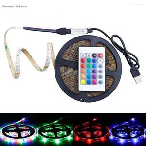 Saiten LED RGB-Streifenlicht 16-Farben-USB-Beleuchtung mit 24-Tasten-IR-Fernbedienung Wechselndes Lampenband 0,5/1/2/3/4/5M Nicht wasserdicht