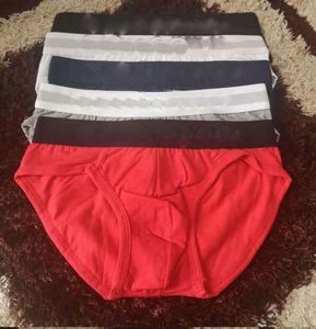 Underpants Wholesale High Quality Low Price 10 Pcs/lot Cotton Men's Sexy Briefs Underwear