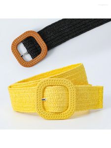 Belts Women Jeans Buckle Belt Four Square 4cm Wide Korean Style Mori Candy Color Grass Woven Elastic All Match Dress Yellow Blue 95 4