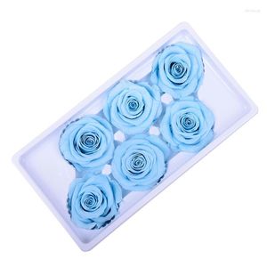 Flores decorativas 6pcs/caixa de alta qualidade preservada rosa cabeças imortal 5-6 cm de diâmetro