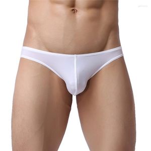 Underbyxor mäns trosor låg midja herr nylon sexig manlig underkläder cueca maskulina penis påse män bikini