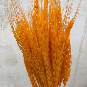 Decorative Flowers 50PCS Natural Wheat Ear Flower Dried For Wedding Party Decoration Valentine Gift Ideas Artificial Bridal