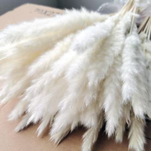 Kwiaty dekoracyjne 15pcs puszysty pampas trawa gałąź boho boho home wystrój naturalny suszony bukiet kwiat prawdziwy sztuczne rośliny ogrodowe ślub