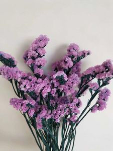 Dekoracyjne kwiaty zachowane świeży kwiat Zapomnij o tym, że niewiele fioletowa natura suszona gałąź sucha wieczna dekoracje domu