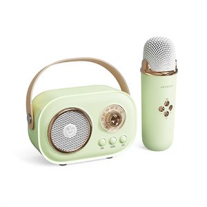 Multifunktionell smart bärbar trådlös Bluetooth -högtalare med handhållen mikrofonmikrofonstöd TF -kort Small Family KTV Song Machine Subwoofer