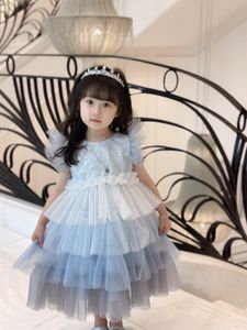 Customized Kids Girls Princess Dress Childrens Girl's Dresses Fashion Summer Petal Wedding Cothes