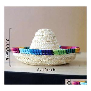 Party Dekoration Mini Haustier Hunde St Hut Sombrero Katze Sonne Strand Hüte Hawaii-Stil für lustige Accessoires Drop Lieferung Hausgarten Festi DH25F